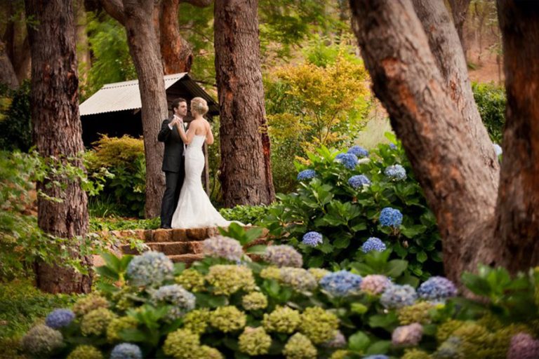 secret garden 1 768x512